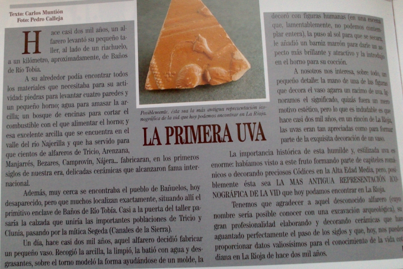 Artículo de Carlos Muntión sobre el fragmento de vaso de “terra sigillata” hispánica