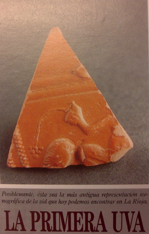 Representación iconográfica de la vid en un trozo de cerámica
